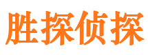 桐柏侦探公司